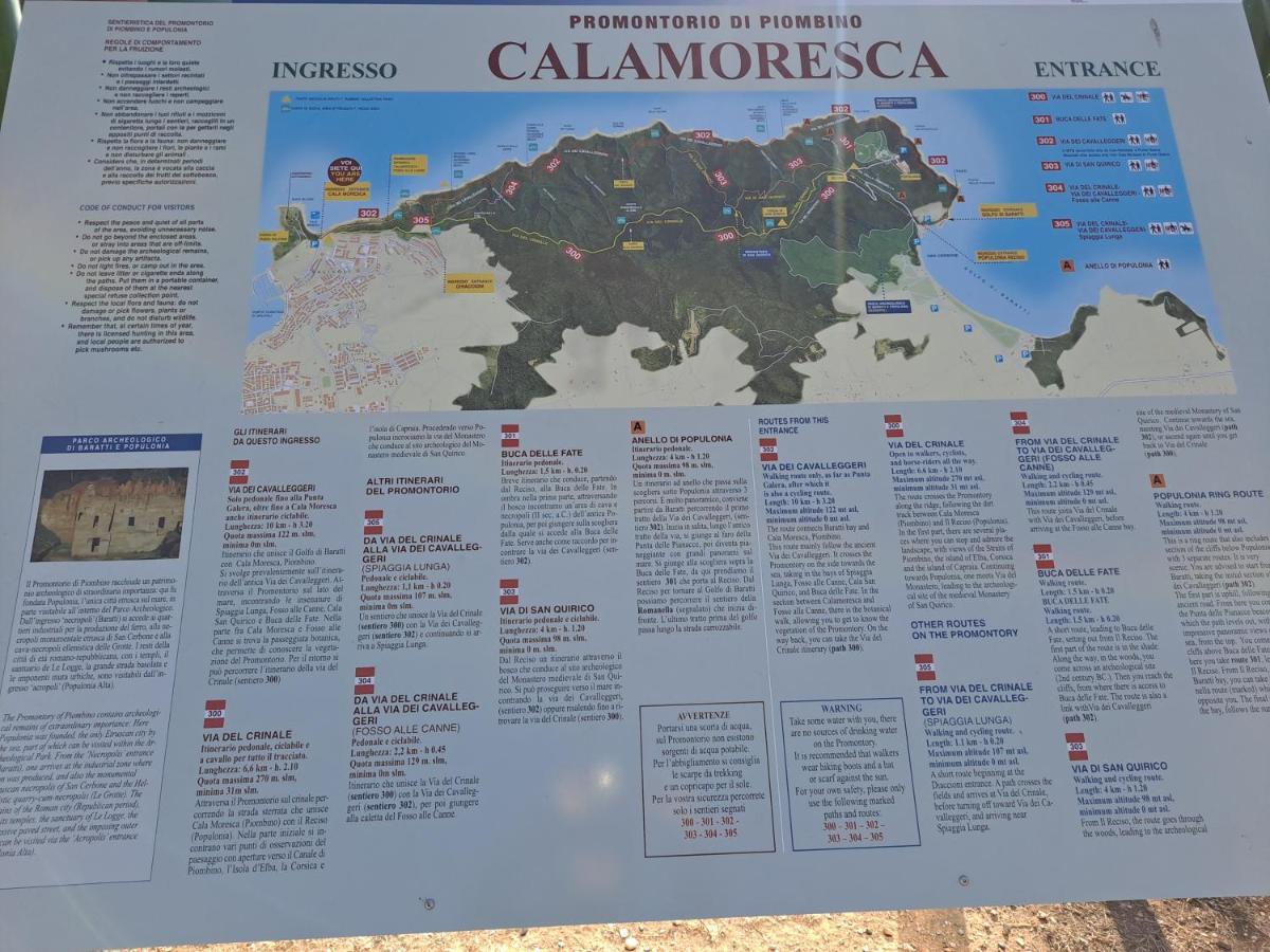 Il Balcone Sull'Elba Apartment Piombino Ngoại thất bức ảnh